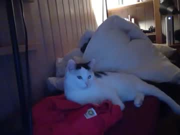 webcam man mattherz capture image #797945