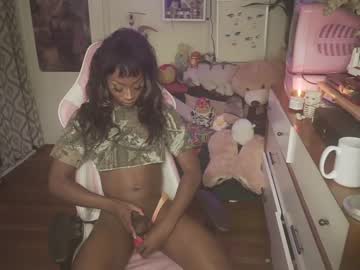 webcam tranny vanniall capture image #2222202