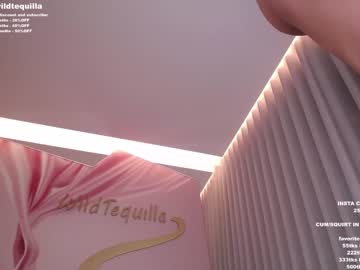 webcam girl wildtequilla capture image #4885275