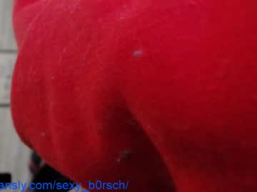 webcam girl sexy_b0rsch capture image #2595527