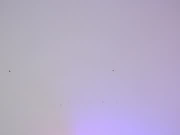 webcam girl sapphirealice capture image #2117299