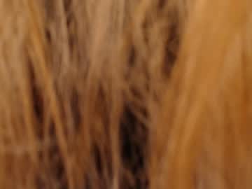 webcam girl pervyblonde capture image #1874861
