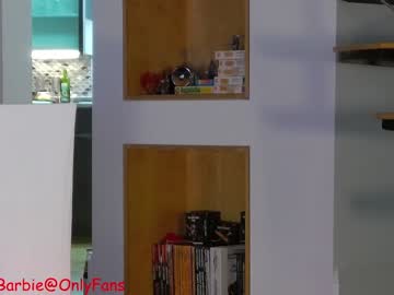 webcam girl rvlifebarbie capture image #4273755
