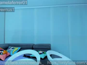 webcam tranny _veenus capture image #5165137