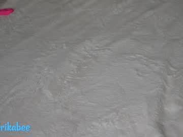 webcam girl erikabee capture image #3846571