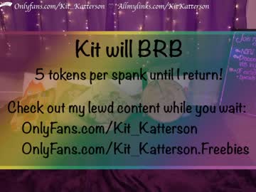 webcam girl thekittykatbar capture image #370985