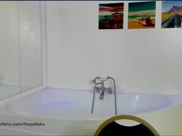 webcam girl foxy_aleks capture image #1367155