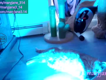 webcam girl maryjane_314 capture image #3413076