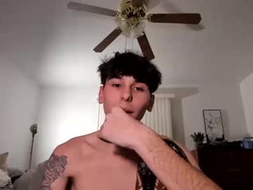 webcam couple aesus3x capture image #4685301