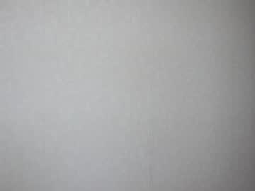 webcam girl alice_rays_ capture image #5355144