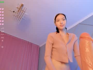 webcam girl aerri_lee capture image #2060110